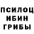 Псилоцибиновые грибы мицелий Alexander Donetsk