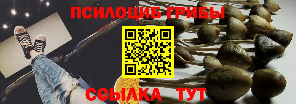 Псилоцибиновые грибы Magic Shrooms Клинцы