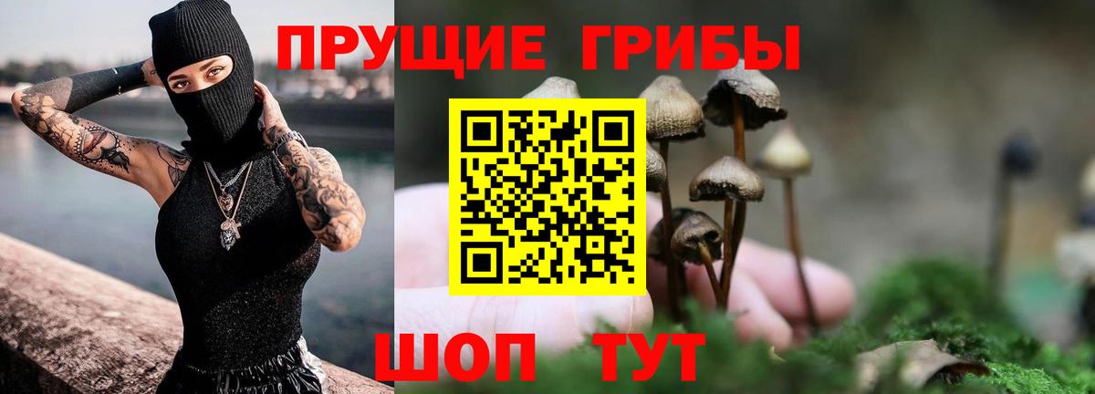 Клинцы  Псилоцибиновые грибы Psilocybine cubensis  Псилоцибиновые грибы мицелий  Вход с VPN 